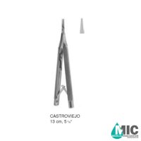 سوزنگیر کاسترو ویجو