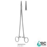 سوزنگیر وانگنستین