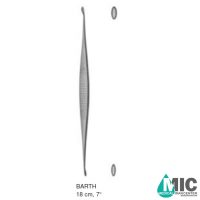 کورت استخوان بارث