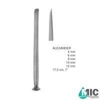 چیزل الکساندر