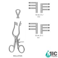 اکارتور ولشتاین(WULLSTEIN)