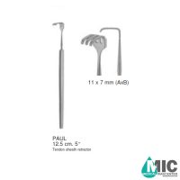 اکارتور تاندون پائول(PAUL)