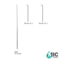 هوک گوش دی(DAY)