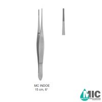 پنست تشریح MC INODE