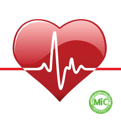 قلب مهمترین عضو بدن انسان می باشد