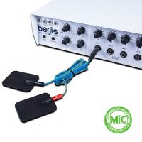 دستگاه فارادیک لاغری و فیزیوتراپی ۱۰ کانال برجیس مدل ST90